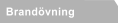 Brandvning